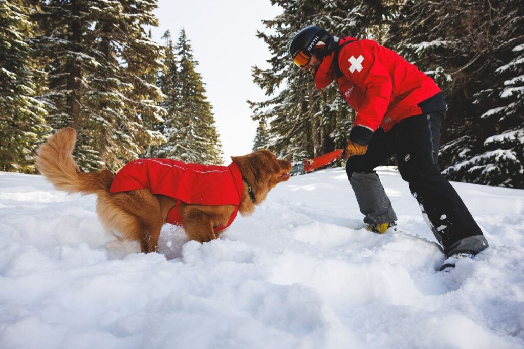 Powder Hound Vest